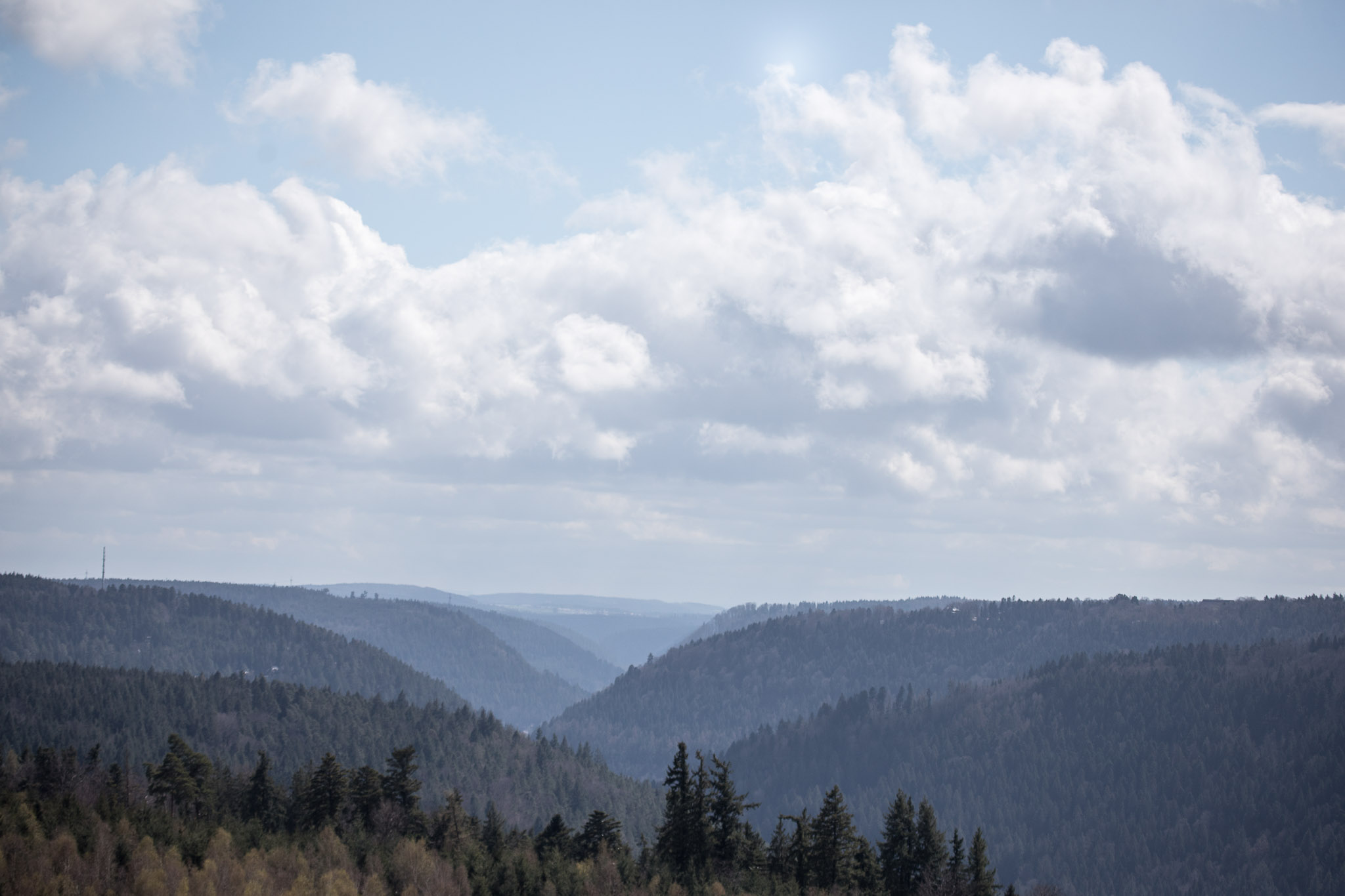 20220409145218 RD4 6461